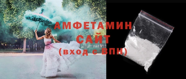 шишки Тайга