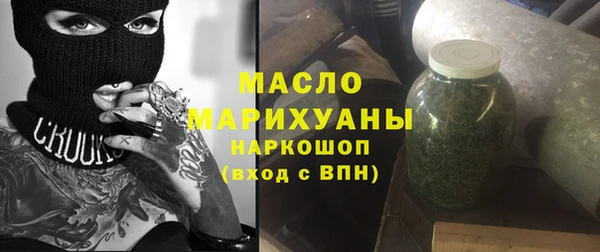 индика Сясьстрой