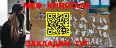шишки Аргун