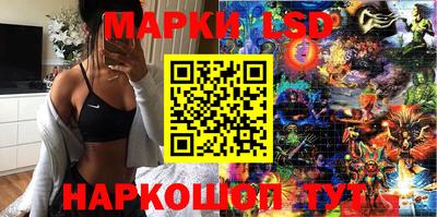 шишки Аргун