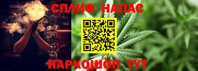 шишки Аргун