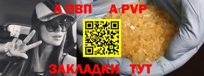 шишки Аргун