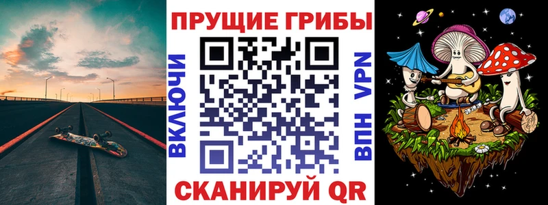 хочу наркоту  Белово  гидра вход  Псилоцибиновые грибы прущие грибы 